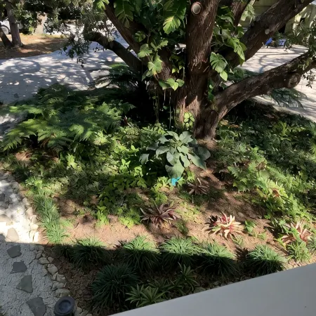 Island Oak Apartment