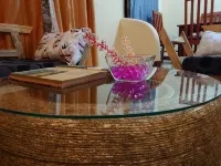 Sero Safaris Hostel - Hostels