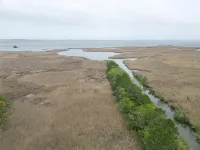 Spacious waterfront farmhouse with amazing views and kayaking - Jacuzzi