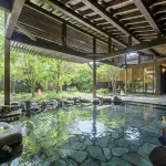 Hotel Seifuen - Hot Springs