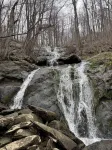 "Fall" in Love · Short Drive to Blue Ridge Pkwy · Walk 2 Resort & Dining - 精品