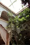 Riad Maryam Taroudant - Pet friendly