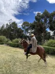Las Casitas, A Belmond Hotel, Colca Canyon - Pet friendly