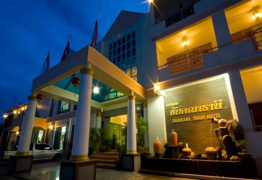 2. 차이카나 타니 ..