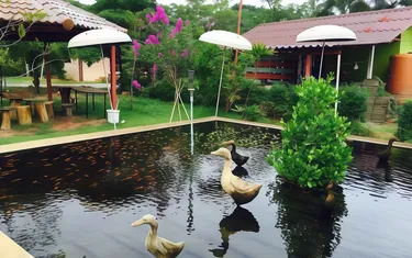 รูปภาพของบ้านชมภูรีสอร์ท