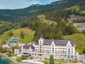 Park Hotel Vitznau