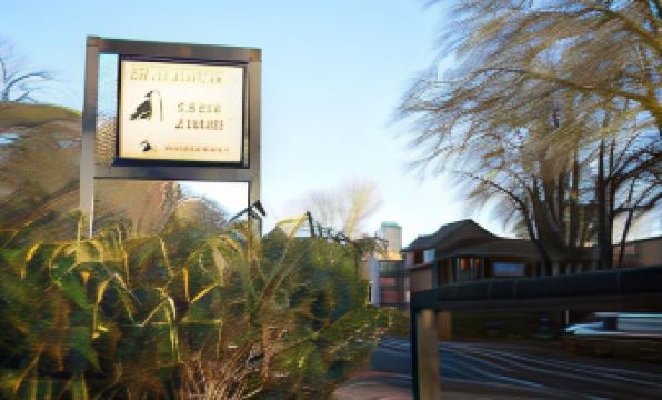 8. 픽윅스 게스트 ..