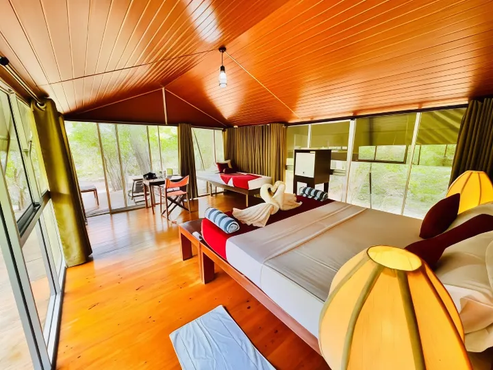 Yala Hotel Lion -Air Conditioned High Luxury Safari Camp