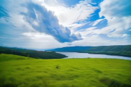 เดอะ โฮสเทลเลอร์ แพนเชต