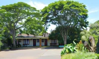 Birds of Paradise B&B Hotels near Fort Nonquai Historical Museum