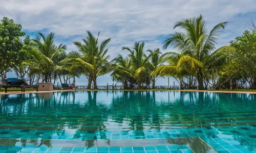 Soul Wellness and Ayurveda Resort