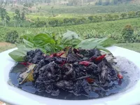 Bintang Langit Lodge Ciater