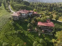 Kaf Dagi Konak Hotel Hotels in Eskipazar Mahallesi