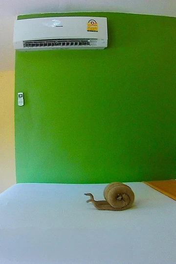 รูปภาพของเดอะ เนเชอร์ คลับ รีสอร์ท