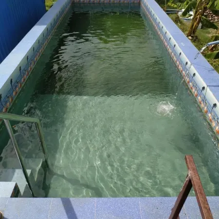 Krish Garden