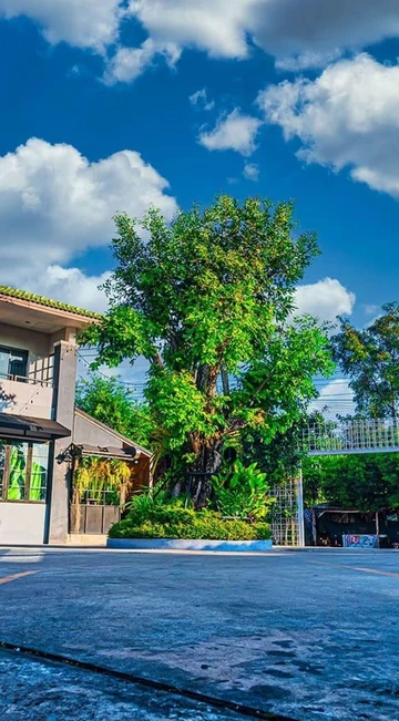 รูปภาพของโรงแรม วรินทรน์คอร์ต หนองคาย