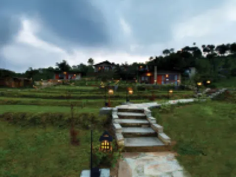 Seed at Queens Meadows, Ranikhet