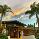 Comfort Hotel Flames Whangarei - bar