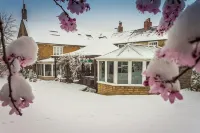 奧萊羅德飯店 住宿飯店