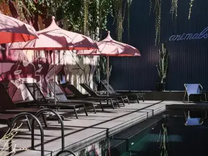 Hotel Hotel - Avenida Liberdade, a Member of Design Hotels