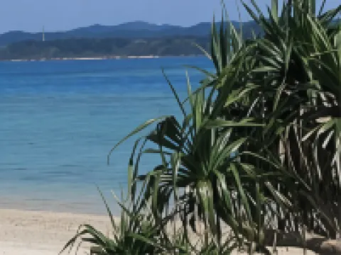 ゲストハウス涼風 奄美のホテル