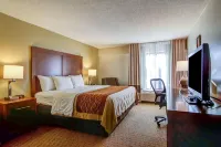Comfort Inn Kennesaw
