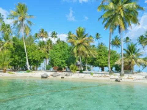 Moana Lodge Các khách sạn ở Raiatea