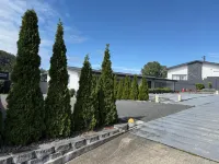 Central Court Motel - spa