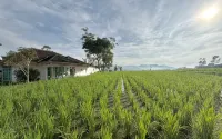 Stay and Farm Hostel