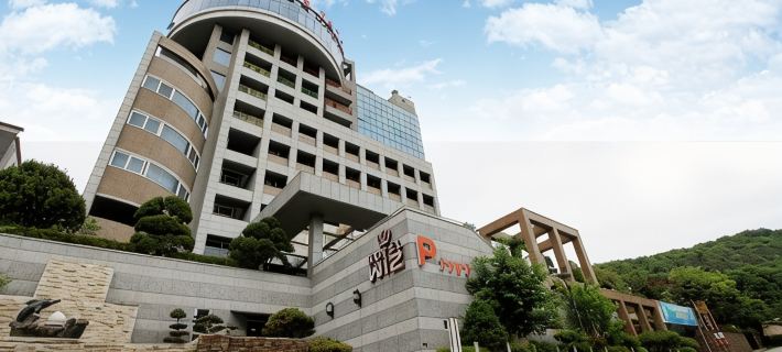 Hotel Wiz Hotels in Paju-si