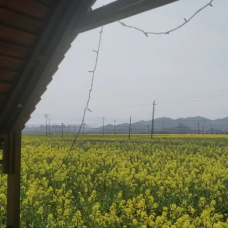 Ningbo Yundan Senxi Homestay