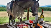 Il Borro Relais & Châteaux - Frühstück