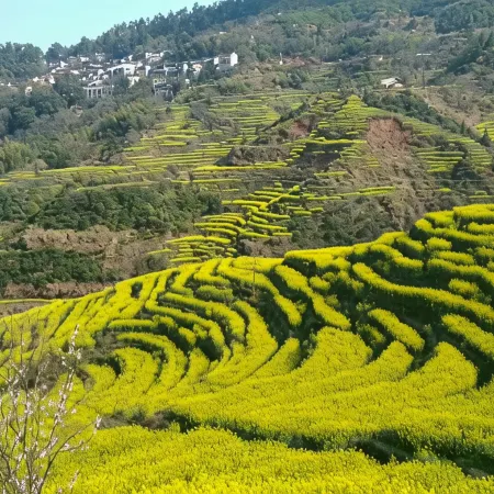 Wuyuan·Xiangyuanju Beautiful Homestay (Huangling Resort Scenic Area Branch)