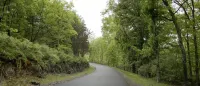 Poconos Dream House - 3-Star
