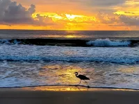 Sleeps 12•Huge PrivateDeck•Beach Gear•Pool Table•Steps to Ocean•Trailer Parking - Condos