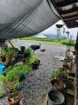 Daintree Holiday Homes - La Vista - Private Pool & Jet Spa - Ocean Views