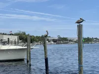 Reel Em Inn
