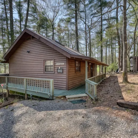 Tall Pines - A cozy cabin in North GA mountains w/hot tub and mountain views!