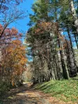 River Retreat on the Nottely river in Blairsville, GA. Fishing&Hiking Lic#033210 - 부티크