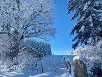 Character cottage close to hiking trails - Chalets