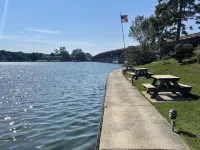 Relaxation Destination--updated lakefront condo just steps from Lake Hamilton!!! - Homestays