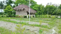 Rainbow Eco Resort Sundarban - 2-Star
