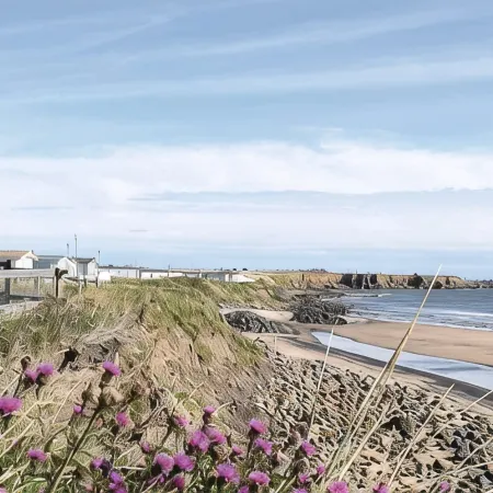 Sandy Bay Holiday Park