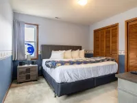 Sleeps 12! Main Level Primary Suite - Beautiful Backyard Oasis!