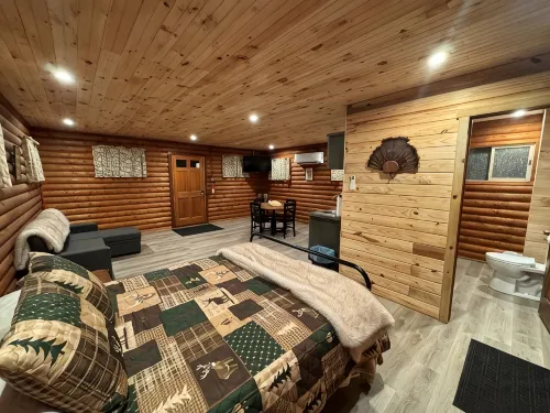 Charming log cabin on gravel back road with peace, quiet, all amenities of home - Hytter