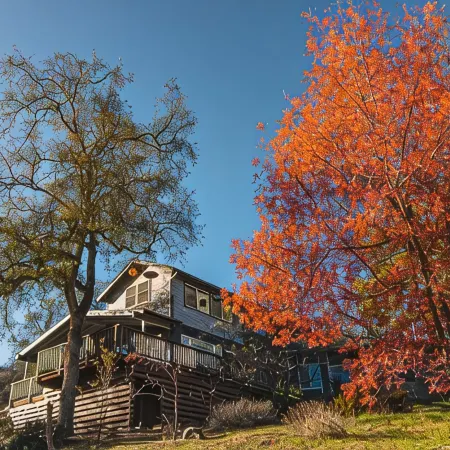Alta Peak House~Private EV Outlet, ;Outdoor Pool; Close to SNP entry