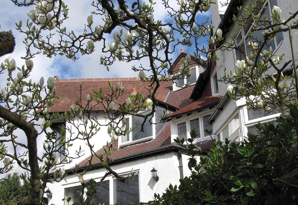 Ivy House Cornwall B&B - Housity