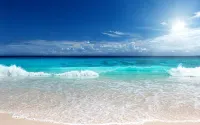 Private Luxury Villa 15,000 sq ft,kid friendly, Maid, pvt.Chef,24 h security - Bungalows