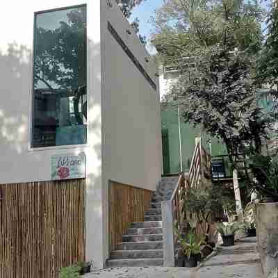 Hillside 2-bedroom villa Koh Tao with great view, pool, WiFi, AC Hotel Exterior