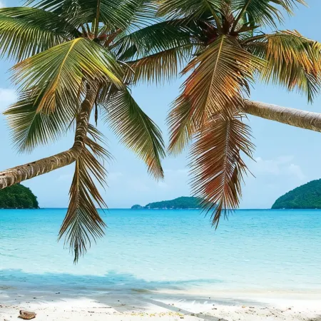 Salt Life at Sapphire Beach